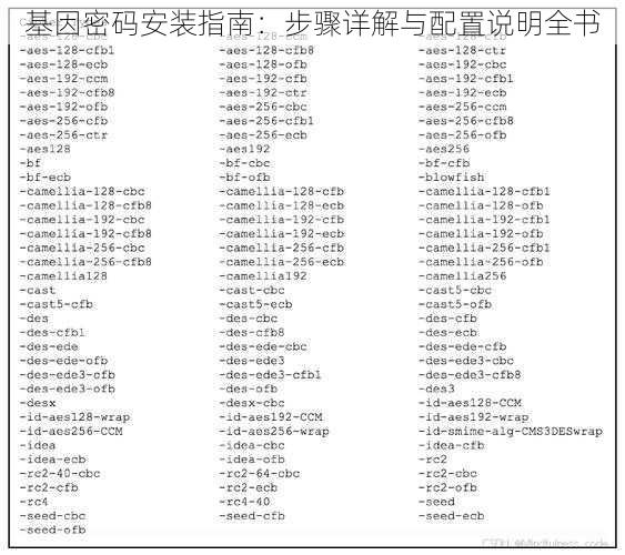 基因密码安装指南：步骤详解与配置说明全书