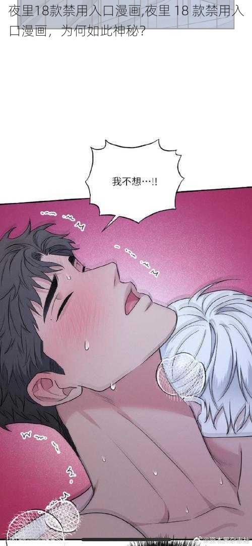 夜里18款禁用入口漫画,夜里 18 款禁用入口漫画，为何如此神秘？