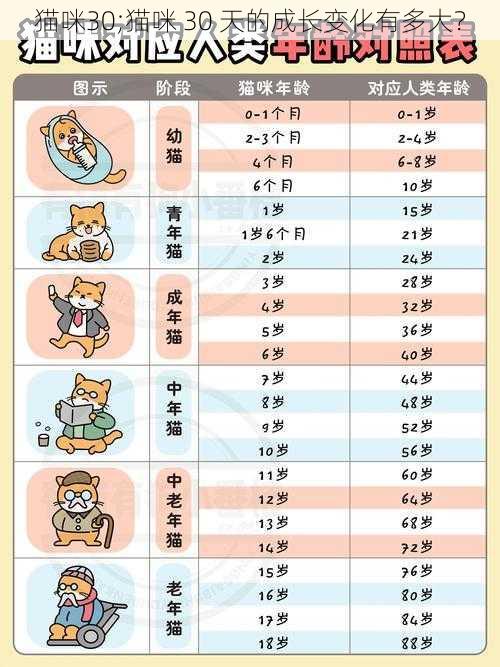 猫咪30;猫咪 30 天的成长变化有多大？