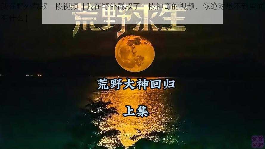 我在野外截取一段视频【我在野外截取了一段神奇的视频，你绝对想不到里面有什么】