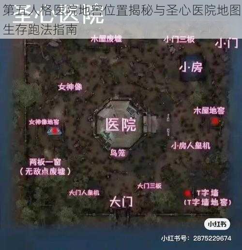 第五人格医院地窖位置揭秘与圣心医院地图生存跑法指南