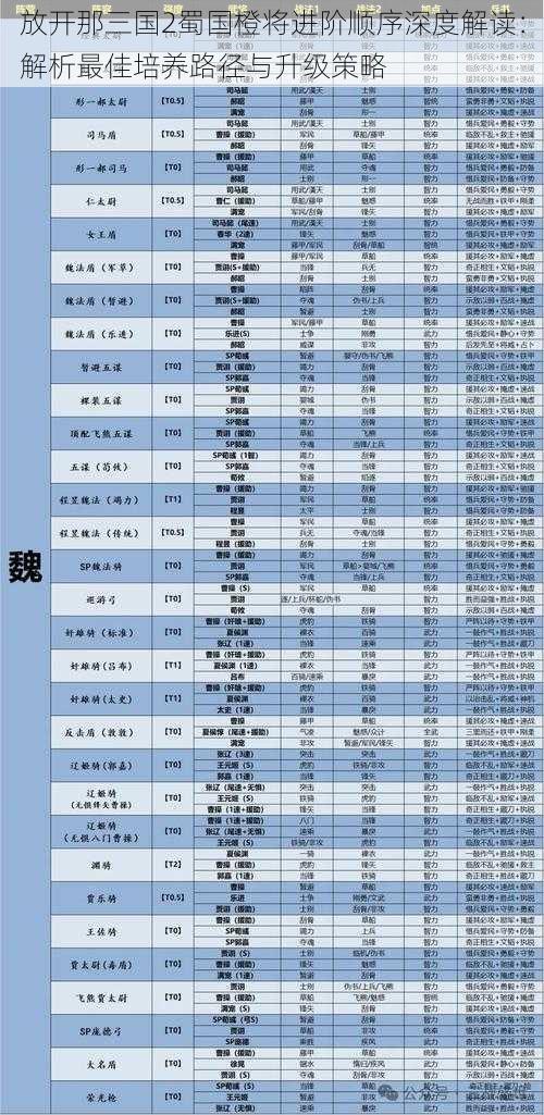 放开那三国2蜀国橙将进阶顺序深度解读：解析最佳培养路径与升级策略