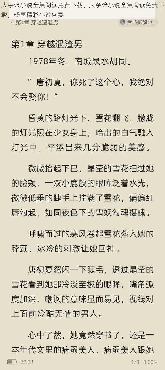 大杂烩小说全集阅读免费下载、大杂烩小说全集阅读免费下载，畅享精彩小说盛宴