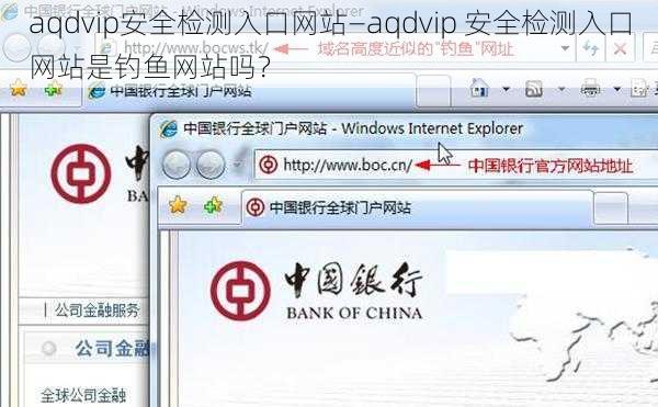 aqdvip安全检测入口网站—aqdvip 安全检测入口网站是钓鱼网站吗？