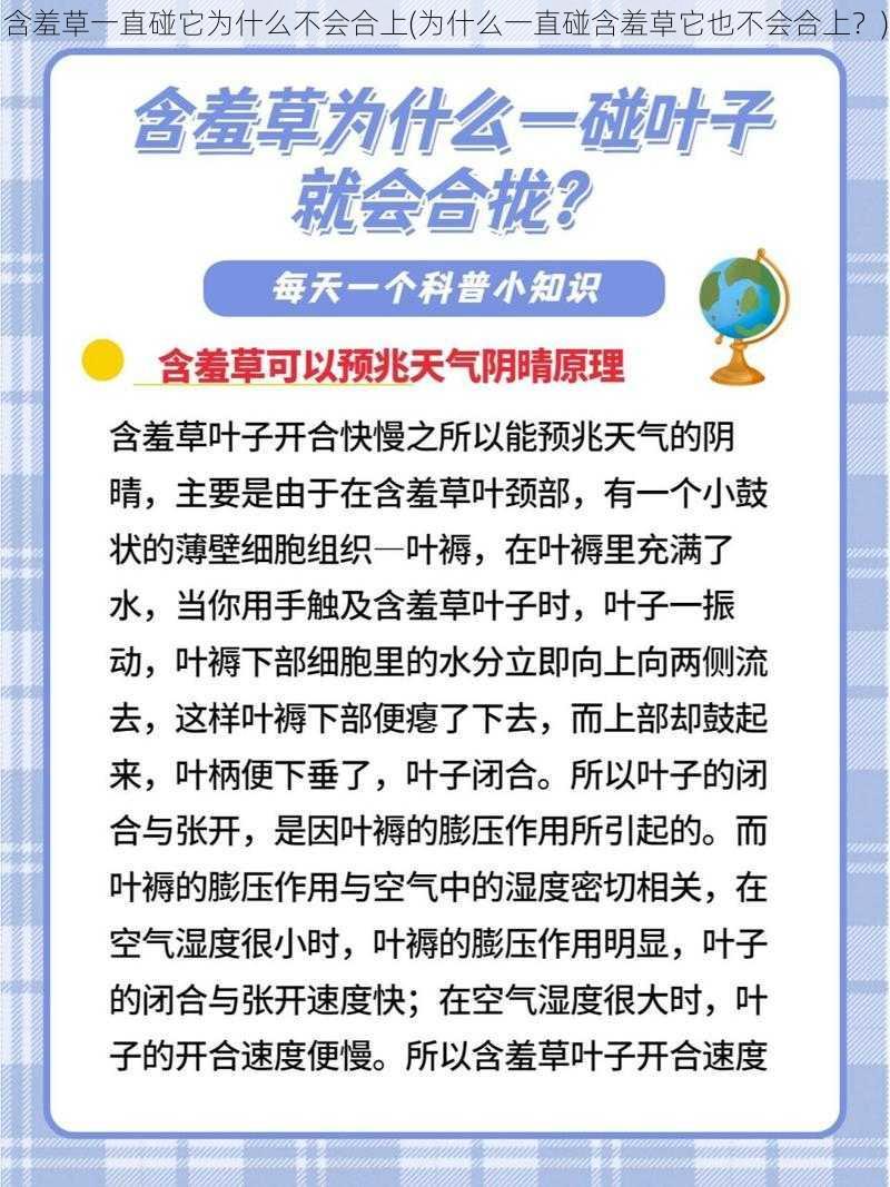 含羞草一直碰它为什么不会合上(为什么一直碰含羞草它也不会合上？)