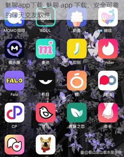 魅聊app下载_魅聊 app 下载，安全可靠的聊天交友软件