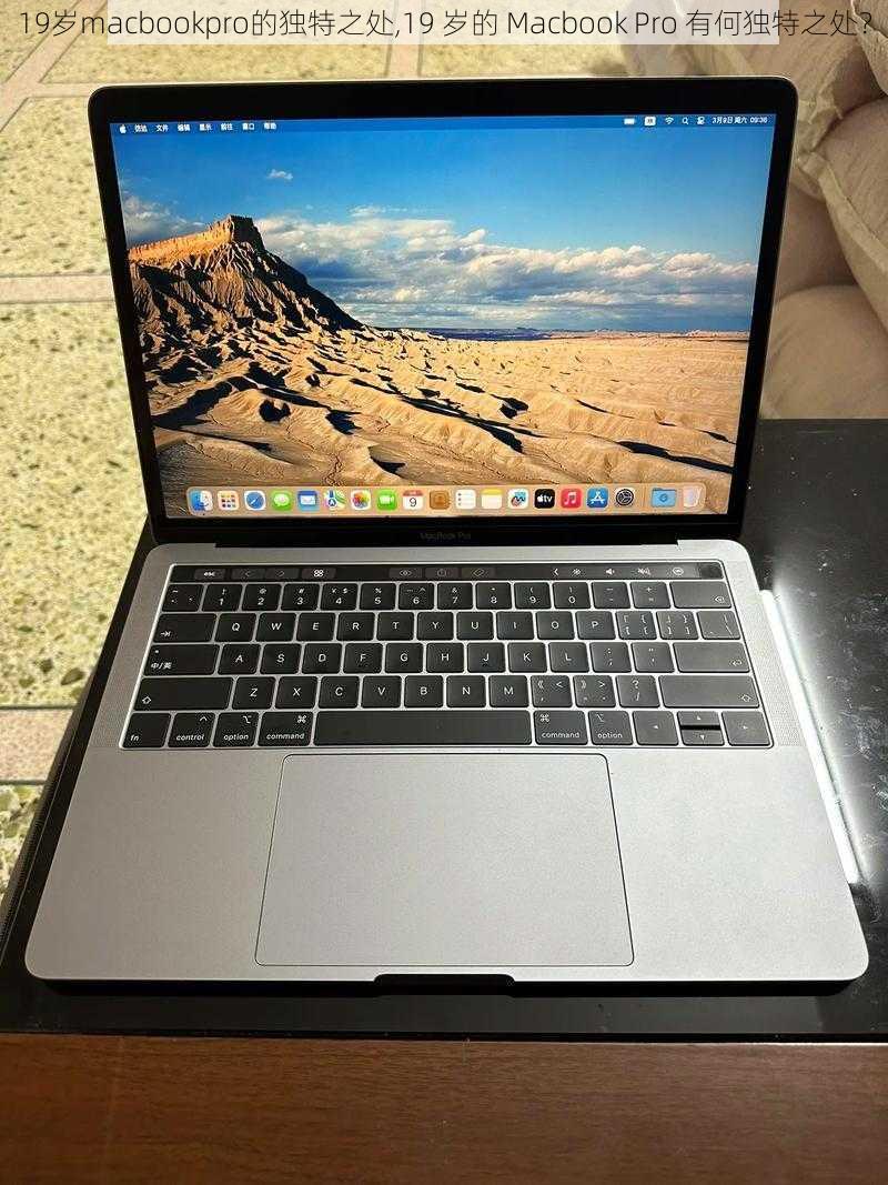 19岁macbookpro的独特之处,19 岁的 Macbook Pro 有何独特之处？