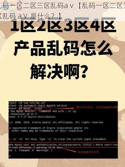 乱码一区二区三区乱码aⅴ【乱码一区二区三区乱码 aⅤ 是什么？】