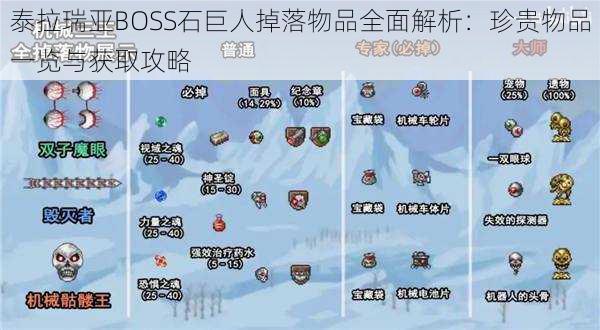 泰拉瑞亚BOSS石巨人掉落物品全面解析：珍贵物品一览与获取攻略