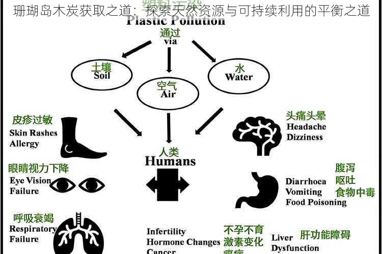 珊瑚岛木炭获取之道：探索天然资源与可持续利用的平衡之道