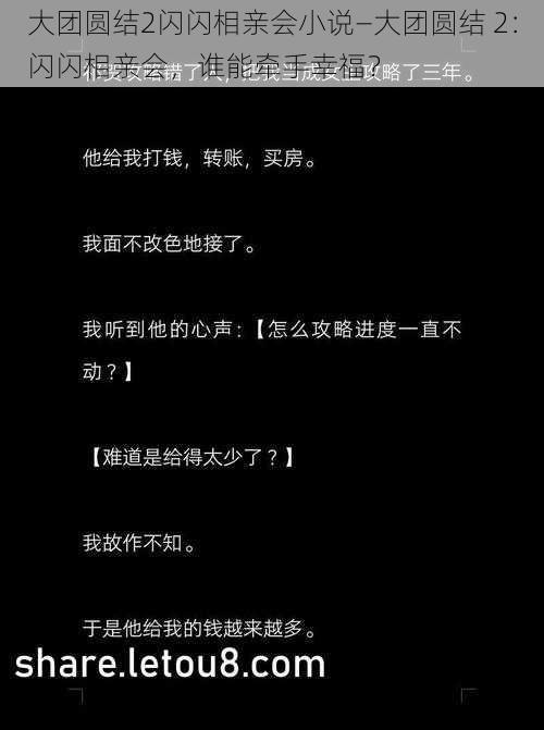 大团圆结2闪闪相亲会小说—大团圆结 2：闪闪相亲会，谁能牵手幸福？