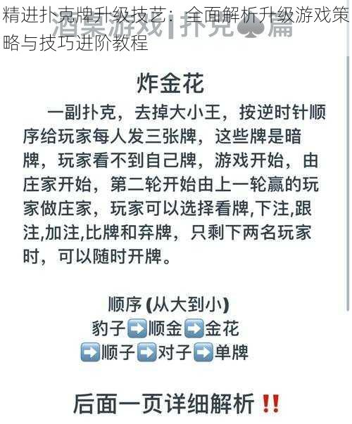 精进扑克牌升级技艺：全面解析升级游戏策略与技巧进阶教程