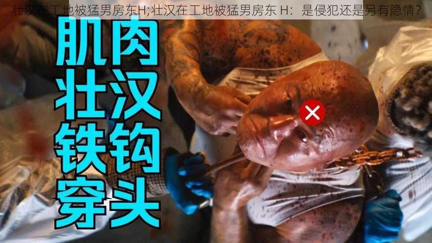 壮汉在工地被猛男房东H;壮汉在工地被猛男房东 H：是侵犯还是另有隐情？