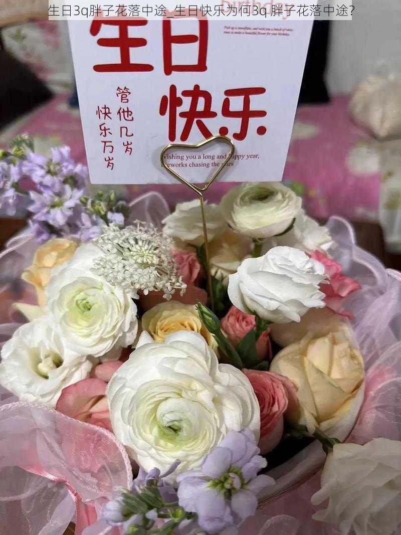 生日3q胖子花落中途_生日快乐为何3q 胖子花落中途？