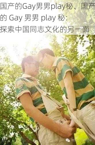 国产的Gay男男play秘、国产的 Gay 男男 play 秘：探索中国同志文化的另一面