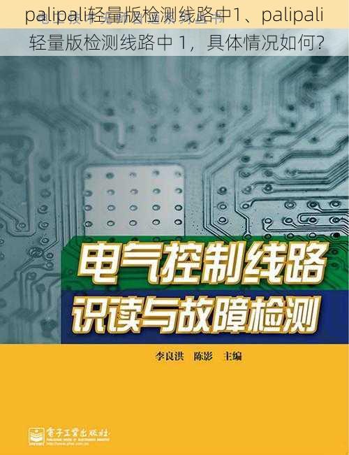 palipali轻量版检测线路中1、palipali 轻量版检测线路中 1，具体情况如何？