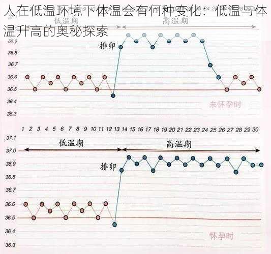 人在低温环境下体温会有何种变化：低温与体温升高的奥秘探索