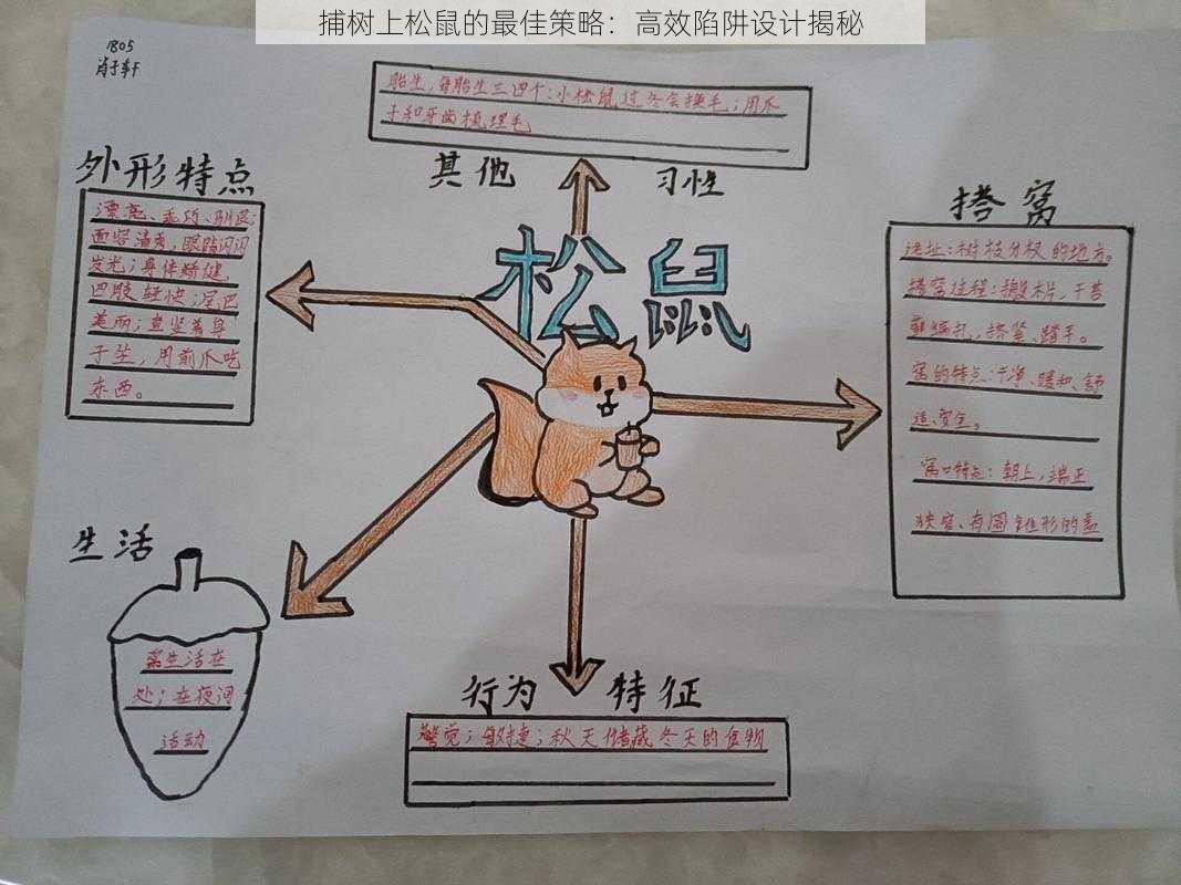 捕树上松鼠的最佳策略：高效陷阱设计揭秘