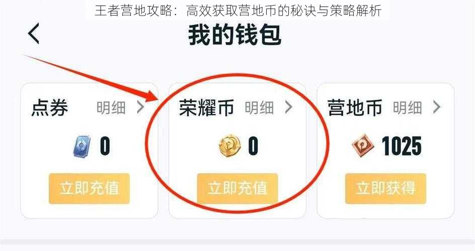 王者营地攻略：高效获取营地币的秘诀与策略解析