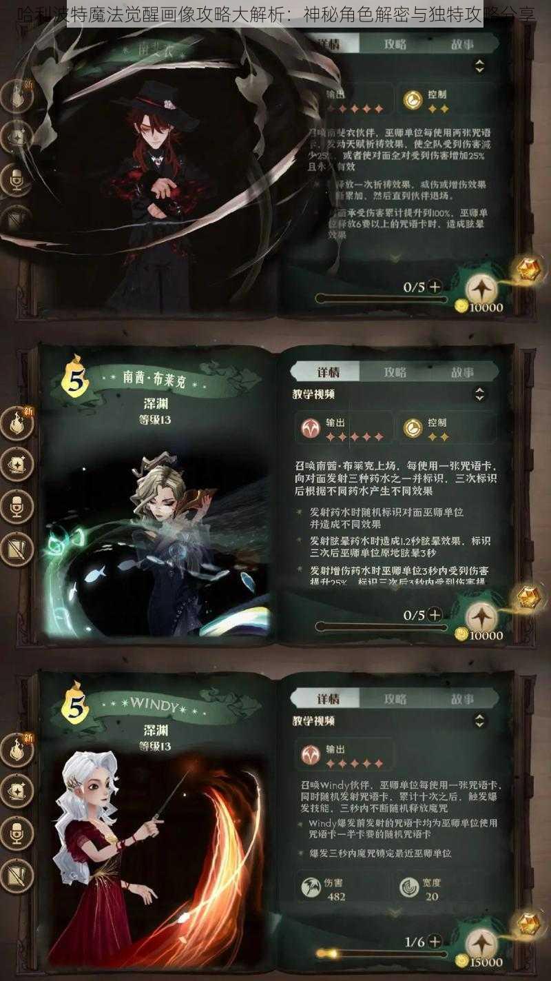 哈利波特魔法觉醒画像攻略大解析：神秘角色解密与独特攻略分享