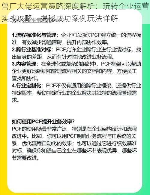 兽厂大佬运营策略深度解析：玩转企业运营实战攻略，揭秘成功案例玩法详解