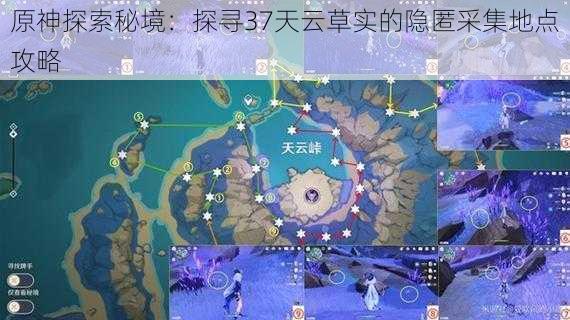 原神探索秘境：探寻37天云草实的隐匿采集地点攻略