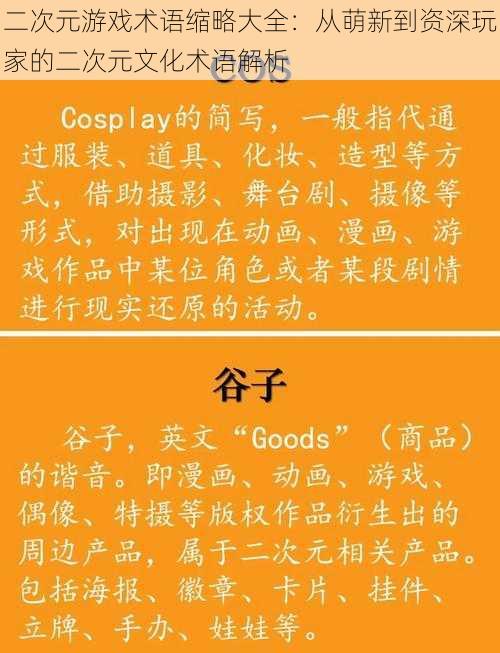 二次元游戏术语缩略大全：从萌新到资深玩家的二次元文化术语解析